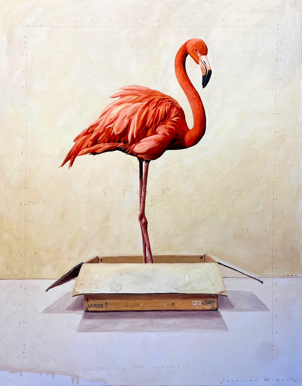 A flamingo stands tall, their legs positioned in a cardboard box