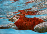 woman in red one piece bathingsuit glides just beneath the surface of the water.