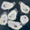 Dee blue background with aerial view of oysters